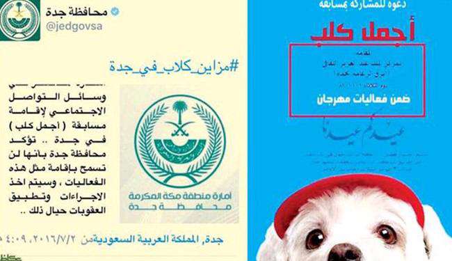 مسابقه انتخاب«زیباترین سگ» در عید فطر عربستان! 

فراخوانی در عربستان با عنوان مسابقه انتخاب زیباترین سگ در عید سعید فطر اعلام شده است